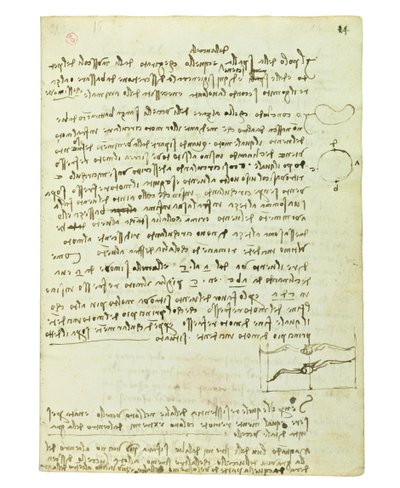 Codex on the Flight of Birds, Folio 14 Recto by Leonardo da Vinci